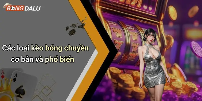 Các loại kèo bóng chuyền cơ bản và phổ biến