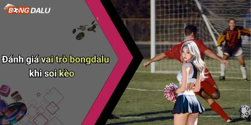 Đánh giá vai trò bongdalu khi soi kèo