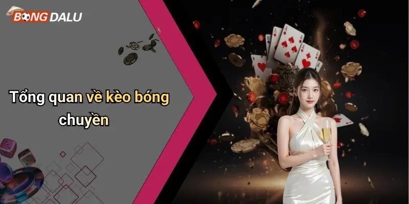 Tổng quan về kèo bóng chuyền