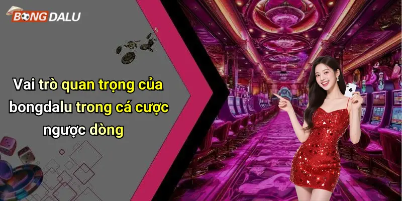 Vai trò quan trọng của bongdalu trong cá cược ngược dòng