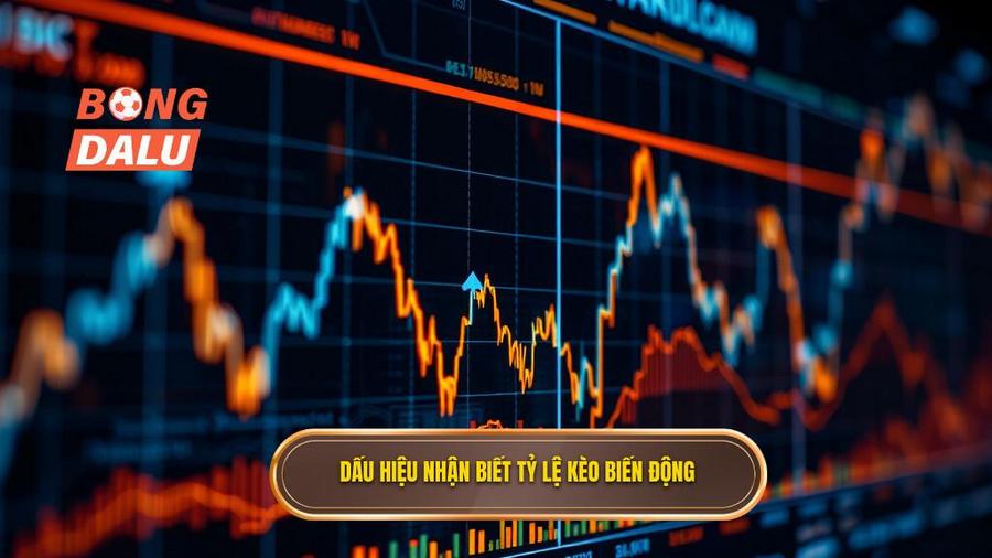 3. Phân tích đa chiều về sự biến động của tỷ lệ kèo