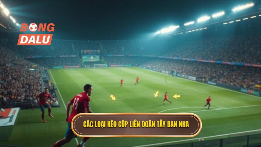 Phân tích các loại kèo phổ biến khi soi kèo các trận đấu cúp liên đoàn Tây Ban Nha