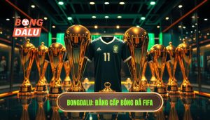 Những Đội Tuyển Đứng Đầu FIFA Nhiều Nhất: Bảng Vàng Lịch Sử